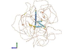 AlphaFold protein structure predicition of Human Recombinant MN1 Protein, UniprotID Q10571