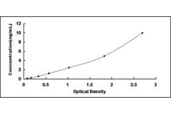PLVAP ELISA Kit