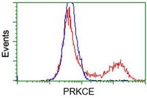 HEK293T cells transfected with either RC217702 overexpress plasmid (Red) or empty vector control plasmid (Blue) were immunostained by anti-PRKCE antibody (ABIN2454195), and then analyzed by flow cytometry. (PKC epsilon antibody)