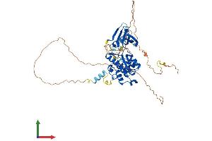 AlphaFold protein structure predicition of Mouse Recombinant Stk33 Protein, UniprotID Q924X7 (STK33 Protein (AA 1-491) (His tag))