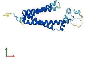 AlphaFold protein structure predicition of Mouse Recombinant Tspan31 Protein, UniprotID Q9CQ88 (TSPAN31 Protein (AA 1-210) (His tag))