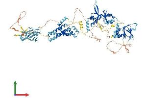 AlphaFold protein structure predicition of Human Recombinant CNNM2 Protein, UniprotID Q9H8M5