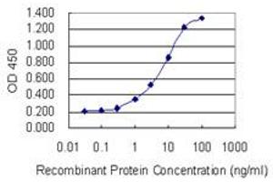 Detection limit for recombinant GST tagged CYP1A2 is 0. (CYP1A2 antibody  (AA 211-310))