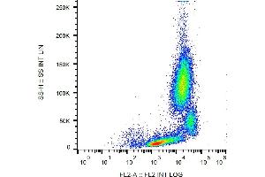 Flow cytometry analysis (surface staining) of CD18 in human peripheral blood with anti-CD18 (MEM-148) PE. (Integrin beta 2 antibody  (PE))