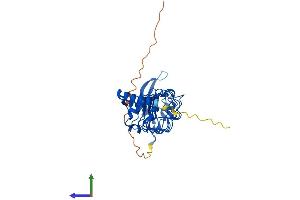AlphaFold protein structure predicition of Human Recombinant LRRC23 Protein, UniprotID Q53EV4