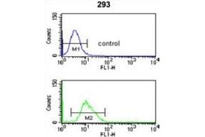 Flow Cytometry (FACS) image for anti-CDC14 Cell Division Cycle 14B (CDC14B) antibody (ABIN3004026) (CDC14B antibody)