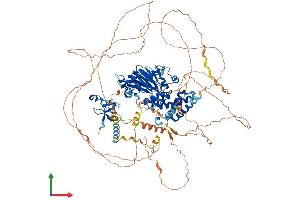Protein Structure (PS) image for PHD Finger Protein 2 (PHF2) (AA 1-1096) protein (His tag) (ABIN7554975)