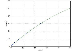 Arginyl-tRNA Synthetase (RARS) ELISA Kit
