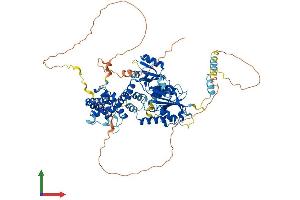 AlphaFold protein structure predicition of Human Recombinant NSUN7 Protein, UniprotID Q8NE18 (NSUN7 Protein (AA 1-718) (His tag))