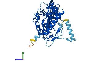 AlphaFold protein structure predicition of Mouse Recombinant Dgat2l6 Protein, UniprotID A2ADU8 (DGAT2L6 Protein (AA 1-337) (His tag))
