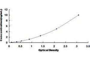 Typical standard curve (CTH ELISA Kit)