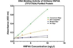 Bioactivity measured with Activity Assay