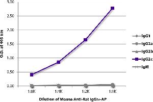 ELISA plate was coated with purified rat IgG1, IgG2a, IgG2b, IgG2c, and IgM. (Mouse anti-Rat IgG2c Antibody (Alkaline Phosphatase (AP)))