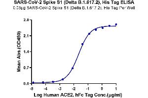 Immobilized SARS-CoV-2 Spike S1 (Delta B. (SARS-CoV-2 Spike S1 Protein (B.1.617.2 - delta) (His tag))