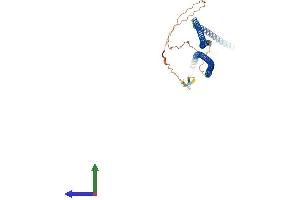 AlphaFold protein structure predicition of Human Recombinant KRT14 Protein, UniprotID P02533 (KRT14 Protein (AA 1-472) (His tag))