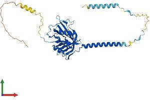 Protein Structure (PS) image for BRX1, Biogenesis of Ribosomes, Homolog (BRIX1) (AA 1-353) protein (His tag) (ABIN7561325)