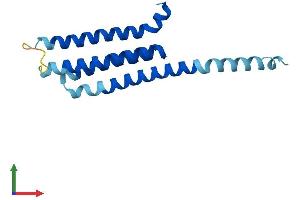 AlphaFold protein structure predicition of Human Recombinant ALOX5AP Protein, UniprotID P20292 (ALOX5AP Protein (AA 1-161) (His tag))