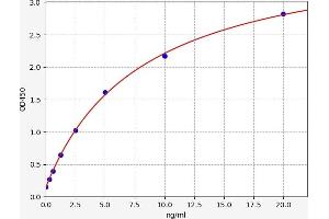 Glutamate Dehydrogenase 1 (GLUD1) ELISA Kit
