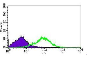 Flow cytometric analysis of HEK293 cells using MRPL42 mouse mAb (green) and negative control (purple).