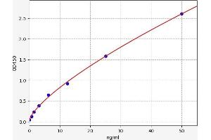 Typical standard curve (GLUT1 ELISA Kit)