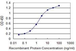 Detection limit for recombinant GST tagged STAB1 is 0. (Stabilin 1 antibody  (AA 1804-1902))