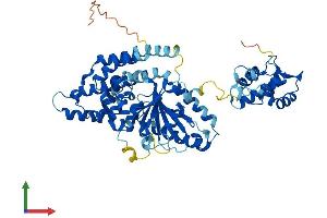 Protein Structure (PS) image for EH-Domain Containing 4 (EHD4) (AA 1-541) protein (His tag) (ABIN7547320)