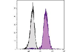 C57BL/6 mouse bone marrow cells were stained with Mouse Anti-Mouse CD45. (CD45.2 antibody  (SPRD))