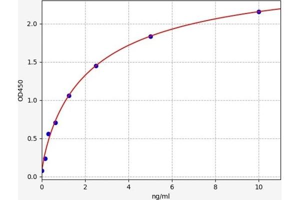 ADORA1 ELISA Kit