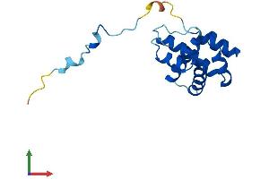 AlphaFold protein structure predicition of Human Recombinant ARPC5L Protein, UniprotID Q9BPX5
