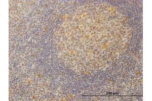 Image no. 1 for anti-Mediator Complex Subunit 21 (MED21) (AA 1-145) antibody (ABIN599079) (MED21 antibody  (AA 1-145))
