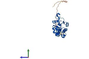 Protein Structure (PS) image for Mitochondrial Ribosomal Protein S2 (MRPS2) (AA 1-296) protein (His tag) (ABIN7551572)