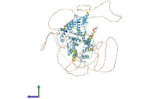 AlphaFold protein structure predicition of Human Recombinant ZNF445 Protein, UniprotID P59923 (ZNF445 Protein (AA 1-1031) (His tag))