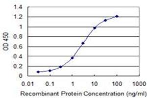 Detection limit for recombinant GST tagged OTOP2 is 0. (Otopetrin 2 antibody  (AA 423-493))