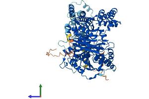 AlphaFold protein structure predicition of Human Recombinant CPT1C Protein, UniprotID Q8TCG5 (CPT1C Protein (AA 1-803) (His tag))