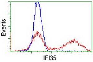 HEK293T cells transfected with either RC200929 overexpress plasmid (Red) or empty vector control plasmid (Blue) were immunostained by anti-IFI35 antibody (ABIN2454901), and then analyzed by flow cytometry. (IFI35 antibody)