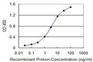 Detection limit for recombinant GST tagged PLDN is 0. (Pallidin antibody  (AA 1-99))