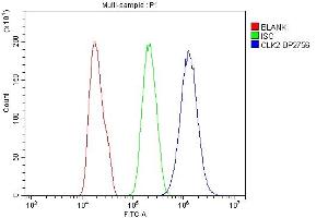Flow Cytometry analysis of PC-3 cells using anti-CLK2 antibody (ABIN7600043). (CLK2 antibody  (AA 140-496))