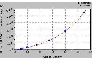 Typical Standard Curve (MAGEA1 ELISA Kit)