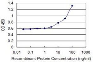 Detection limit for recombinant GST tagged ANXA3 is 1 ng/ml as a capture antibody. (Annexin A3 antibody  (AA 1-323))