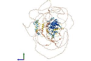 Protein Structure (PS) image for Period Homolog 1 (Drosophila) (PER1) (AA 1-1290) protein (His tag) (ABIN7554934)