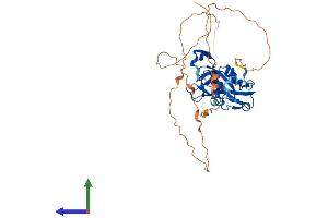 AlphaFold protein structure predicition of Human Recombinant TBX10 Protein, UniprotID O75333 (T-Box 10 Protein (TBX10) (AA 1-385) (His tag))