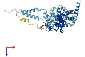 AlphaFold protein structure predicition of Mouse Recombinant Gpat3 Protein, UniprotID Q8C0N2 (AGPAT9 Protein (AA 1-438) (His tag))