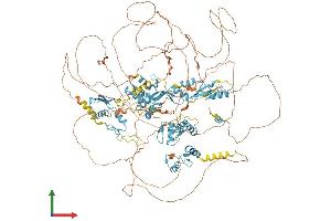 AlphaFold protein structure predicition of Human Recombinant ZNF592 Protein, UniprotID Q92610 (ZNF592 Protein (AA 1-1267) (His tag))