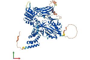 AlphaFold protein structure predicition of Mouse Recombinant Prmt9 Protein, UniprotID Q3U3W5 (FBXO11 Protein (AA 1-846) (His tag))