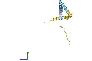 Protein Structure (PS) image for Tumor Protein D52-Like 3 (TPD52L3) (AA 1-140) protein (His tag) (ABIN7544706)