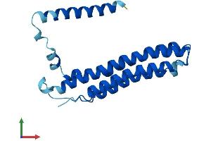 AlphaFold protein structure predicition of Human Recombinant ATP6V0B Protein, UniprotID Q99437 (ATP6V0B Protein (AA 1-205) (His tag))
