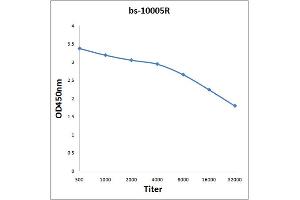 Antigen: 2 µg/100 µL  Primary: Antiserum, 1:500, 1:1000, 1:2000, 1:4000, 1:8000, 1:16000, 1:32000;  Secondary: HRP conjugated Rabbit Anti-Goat IgG at 1: 5000;  TMB staining Read the data in Microplate Reader by 450nm. (KIT antibody  (AA 350-440))