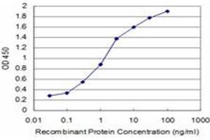 Detection limit for recombinant GST tagged SMAD7 is approximately 0. (SMAD7 antibody  (AA 160-260))