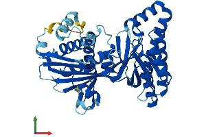 AlphaFold protein structure predicition of Human Recombinant MVK Protein, UniprotID Q03426 (MVK Protein (AA 1-396) (His tag))
