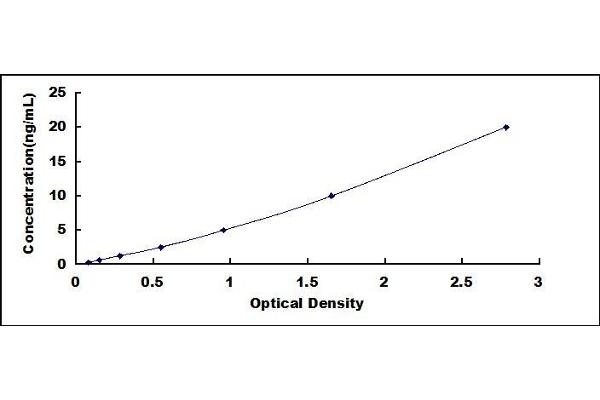 BCMO1 ELISA Kit